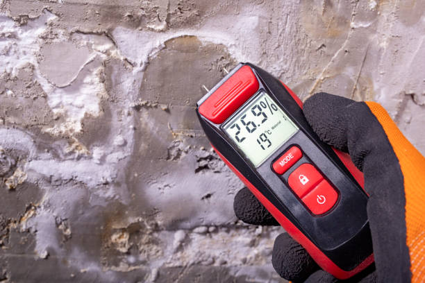 Best Office Mold Removal Services  in Sneads Ferry, NC